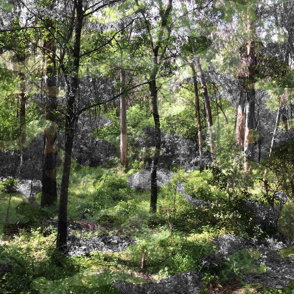 Ikonika, É.-U.